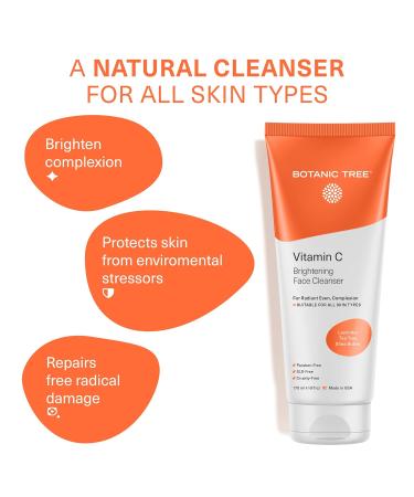 Botanic Tree Vitamin C Facial Cleanser for All Skin Types - 6 Fl Oz - Anti Aging Face Wash for Women & Men - Minimize Acne Scars, Brighten Skin, Reduce Breakouts - Buy Online on GoSupps.com