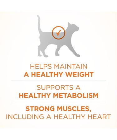 Purina ONE Adult Healthy Metabolism & Ideal Weight Cat Food Combo - Turkey Flavor 7 lbs - Buy Online on GoSupps.com