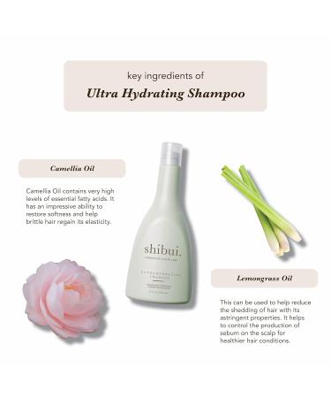 SHIBUI Ultra Hydrating Shampoo - Silicone Free Color Care with Camellia & Lemongrass Oils for Healthy Medium to Coarse Hair - 12 Fl Oz - International Shipping Available - Buy Online on GoSupps.com