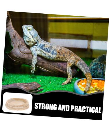 ROMISBABA 2pcs Pet Bowl Bearded Dragon Water Bowl Terrarium Water Bowl Reptile Feeding Dish Animal Resin Beige - Buy Online on GoSupps.com