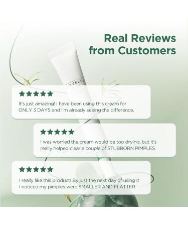 SKIN1004 TEA-TRICA Spot Cream 20ml - Soin Localis Anti-Imperfections avec 15 Percent Eau de Tea Tree et 1 Percent TECA - Cr me Apaisante pour Peaux Acn iques Grasses et Sensibles (20) 20 ml - Buy Online on GoSupps.com