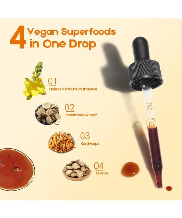 Mullein Drops for Lungs Liquid - Support Respiratory Herbal Supplement Mullein Leaf Extract for Lungs Cleanse with Cordyceps Marshmallow Root & Licorice Root Extract 2 fl oz 1 Pack - Buy Online on GoSupps.com