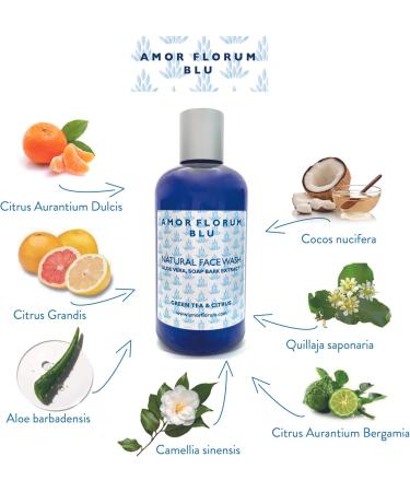 99% Natural FACIAL SOAP GEL - With ALOE VERA GREEN TEA & CITRUS - 250ml - by AMOR FLORUM BLU. Sulfate Free Paraben Free. Gently Cleanses. PH 5.5 for Sensitive Skin. Concentrated. - Buy Online on GoSupps.com