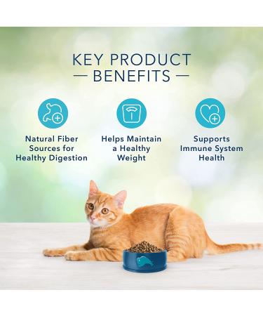 Blue Buffalo Freedom Grain Free Natural Indoor Adult Dry Cat Food Chicken 5lb - Single Pack - Buy Online on GoSupps.com