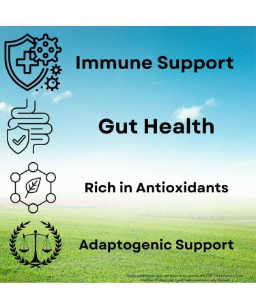 Organic Turkey Tail Mushroom Capsules Immune Support Supplement Antioxidant Rich Natural Digestive Health Aid Vegan & Non-GMO Mushroom Capsules for Wellness & Vitality - 60 Capsules (30 Servings) - Buy Online on GoSupps.com