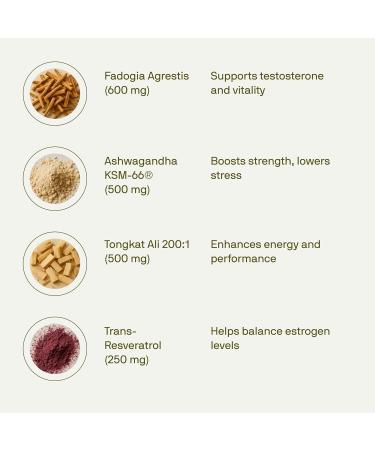 Nutriissa PCT - Premium Testosterone Support & Estrogen Control - EPEB Certified for Purity & Potency - 200:1 Tongkat Ali & Fadogia Agrestis - Vegan, 180 Capsules - Buy Online on GoSupps.com