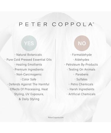 PETER COPPOLA Total Repair Shampoo & Conditioner Duo | Color-Safe Sulfate-Free Hair Care for Color Treated Hair | Keratin Treatment Aftercare (12 Fl Oz - Buy Online on GoSupps.com