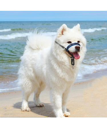 ILEPARK Dog Headcollar with Reflective Strap - Adjustable & Easy Control for Dogs (Small Blue) - International Shipping Available - Buy Online on GoSupps.com