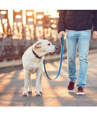 Molain 24-Piece Cat & Dog Collar Bells - Silver Training Bells with Key Ring - Perfect Pet Accessories for Festivals & DIY - Buy Online on GoSupps.com