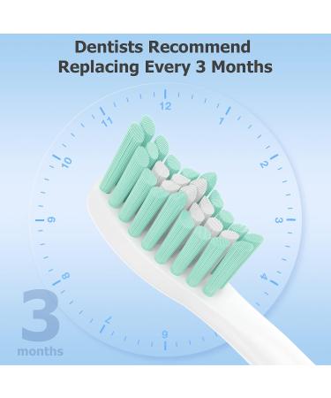 6 Pack Blue Replacement Heads for Philips Sonicare E-Series Electric Toothbrush - Buy Online on GoSupps.com