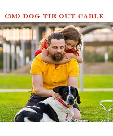 Intestinal Piral Peg with Leash - 15 Inch Tie-Out for Small to Medium Dogs | Durable Stainless Steel Floor Anchor for Courtyard & Camping (Red) - Buy Online on GoSupps.com