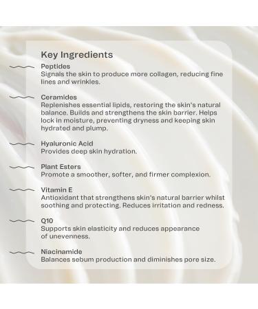 Peptide & Ceramide Antioxidant Day Cream 50ml - Anti Aging/Anti Wrinkle - Vitamin E & Niacinamide Face Moisturiser - Repairing Face Cream for Women - Sensitive/Dry Skin - Vegan Skincare - Indy Beauty - Buy Online on GoSupps.com