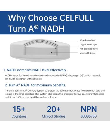 CELFULL NADH Supplement NAD+ Supplement for Immune Support Anti-Aging Cell Regeneration Energy, 20mg - Buy Online on GoSupps.com