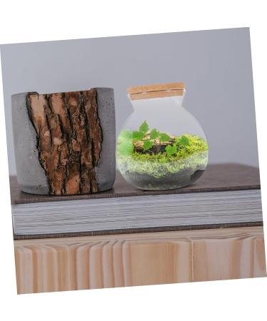 TOBBOMEY Landscape Bottle Micro System Jars with Lid Aquariums Kit for Fish for White High Borosilicate Glass 16.00X15.00X15.00CM - Buy Online on GoSupps.com