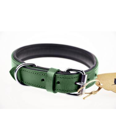 Sniffing Fans Leather Dog Collar - Padded & Robust for Large Medium Small Dogs (XL 46-55cm Green) - International Shipping Available - Buy Online on GoSupps.com