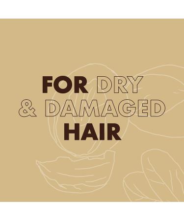 Shea Moisture Raw Shea Butter Deep Hair Treatment Mask - 326 ml (Pack of 1) - Buy Online on GoSupps.com