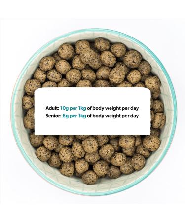 Burns Pet Nutrition Hypoallergenic Dry Food for Adult and Senior Dogs Grain Free Duck & Potatoes 12 kg - Buy Online on GoSupps.com