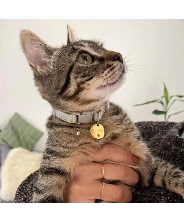 Cute Symbols Style Charming Personalized Dog Cat Tag in 316 Surgical Stainless Steel Double-Sided Deep Engraving with Safe Edge Polishing - Celebrate The Cuteness of Your Feline Friend Round - Buy Online on GoSupps.com