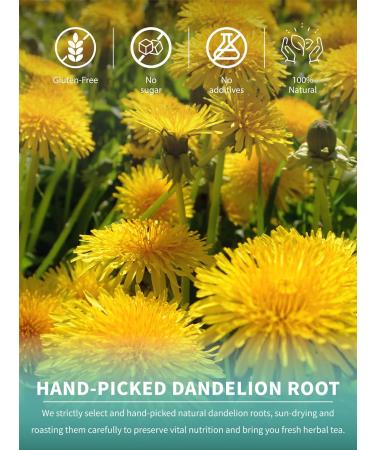 Premium TeeLux Roasted Dandelion Root Tea Bags - 100 Count, Caffeine-Free Herbal Tea, Popular Coffee Alternative - Buy Online on GoSupps.com