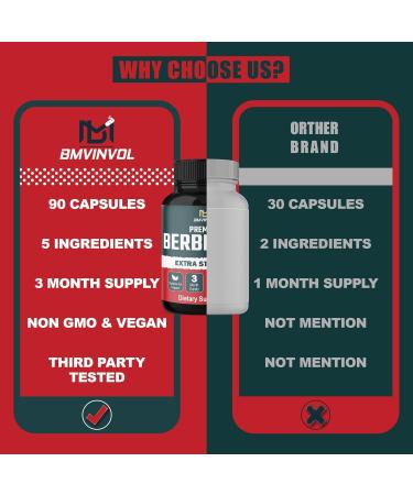 5-in-1 Berberine 14000mg with Ceylon Cinnamon, Milk Thistle, Turmeric & Artichoke - Immune & Heart Support - 3 Month Supply - Buy Online on GoSupps.com