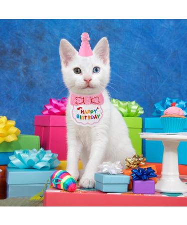 Amaxiu Cute Birthday Hat & Scarf Set for Small Dogs & Cats | Embroidered Party Accessories & Bandana for Puppies | Perfect Pink Happy Birthday Decorations - Buy Online on GoSupps.com