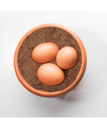 POPETPOP Nesting Pads- 12Pcs Bird Nesting Materials Fiber Substrate Bird Nest Pigeon Breeding Eggs Mat for Pigeon Nest M As Shown - Buy Online on GoSupps.com
