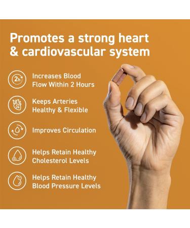 CocoaVia Cardio Health Supplement | 30 Day Supply | 500mg Cocoa Flavanols | Heart & Blood Pressure Support | Vegan Dark Chocolate | Boost Nitric Oxide & Energy | 60 Capsules - Buy Online on GoSupps.com