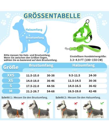 Eyein No-Pull Dog Harness with Leash - Soft Padded Reflective & Adjustable for Puppies Small & Large Dogs Cats - Green XXS - Buy Online on GoSupps.com