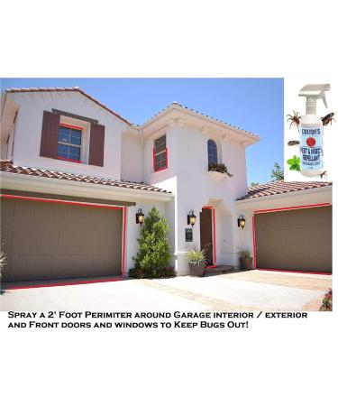 Colton's Naturals 32oz Peppermint Oil Insect & Pest Repellent Spray - 100% Natural - Kills and Repels Ants, Roaches, Flies, Spiders - Child and Pet Safe - Organic Home Control - Buy Online on GoSupps.com