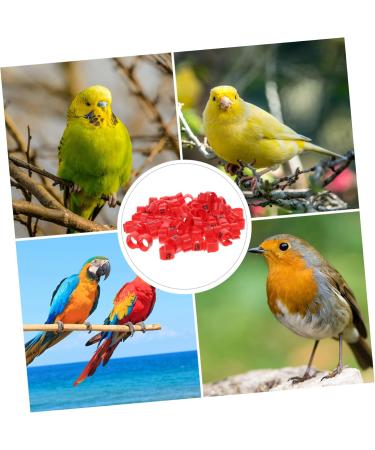 FOMIYES 100pcs Pigeon Anklet Plastic Tags Bird Foot Bands Pigeon Identification Ring Baby Meat Pigeon 1X1X0.8CM Red - Buy Online on GoSupps.com