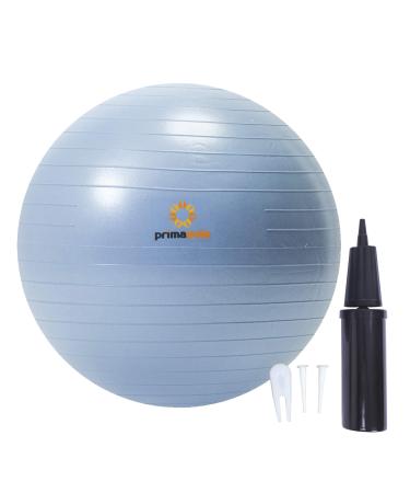 Primasole Exercise Ball for Balance Stability Fitness Workout Yoga Pilates at Home Office & Gym with Inflator Pump 25.6 inch & 65 cm Pale Gray