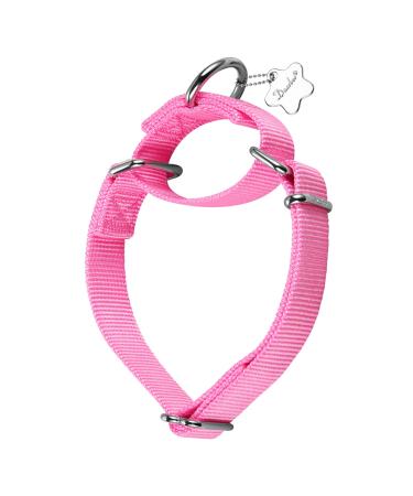 Dazzber Martingale collars for dogs strong and durable large hot pink hard -wearing adjustable nylon dog collar large 1 inch wide pink