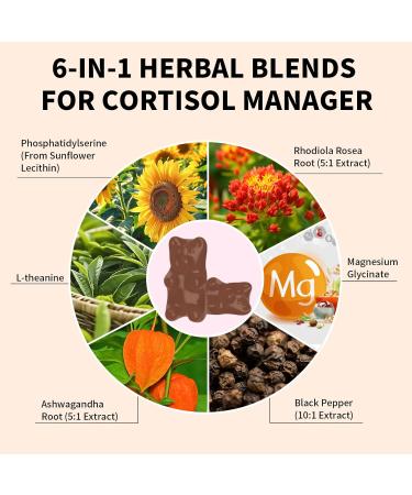 Cortisol Supplements Gummies for Women Sugar-Free Cortisol Gummies with Magnesium Glycinate Ashwagandha Rhodiola Rose for Relaxation Focus Zzz Support Orange Flavor 60 Count 60 Count (Pack of 1) - Buy Online on GoSupps.com