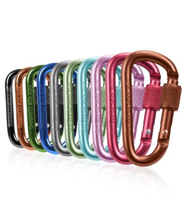 Leiptes 10 piece of carabiner with screw cap carabiner key riper Small carabiner hook aluminum colorful screw carabiner for camping hiking and traveling