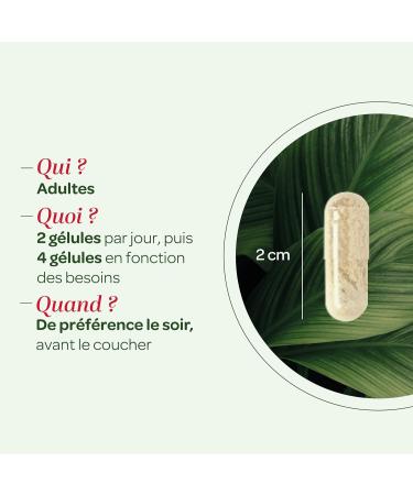 SUPERDIET - GRIFFONIA - Naturopathy - Good mood and good mood - Made in France - 40 capsules - Buy Online on GoSupps.com