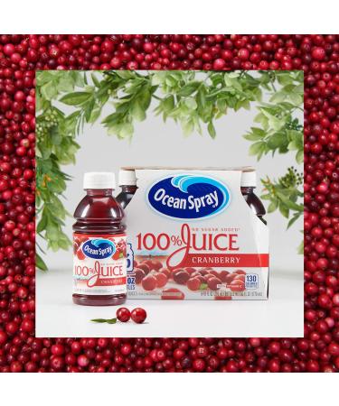 Ocean Spray 100% Cranberry Juice 10oz (Pack of 6) - Pure & Refreshing Juice Blend - Buy Online on GoSupps.com