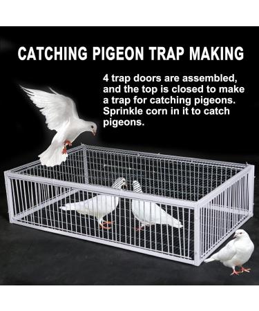 Pigeon Loft Door Pigeon Entrance Door Trap Door Pigeon House Door Racing Supplies Pet Bird Supply Product Bird cage Door - 60cm/24in - Buy Online on GoSupps.com