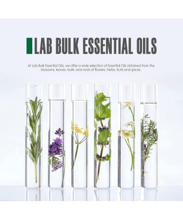 Pure Peppermint Essential Oil - 16oz Bottle - 1 Pack | Lab Certified - Buy Online on GoSupps.com