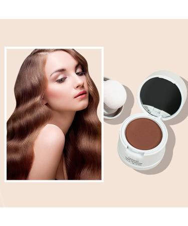 Hair Shadow Powder Portable Soft Sponge 0.14 Oz Hair Root Concealer for Cosmetic (04) - Buy Online on GoSupps.com