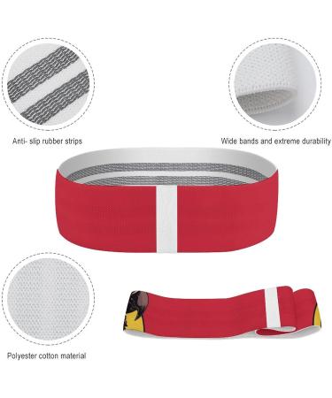 Shop Quality Resistance Bands - Red Parrots Printed Elastic & Fabric Exercise Bands for Fitness - International Shipping Available - Buy Online on GoSupps.com