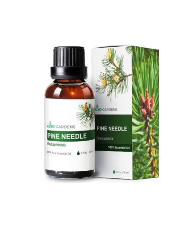 Pine Needle Essential Oil 1oz (30ml) -100% Natural and Pure Premium Quality Therapeutic Grade Essential Oil for Aromatherapy-Crisp Refreshing and Uplifting Pine Needle 1 Fl Oz (Pack of 1)