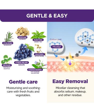 Buy FARMSKIN Freshfood Mild Grape Micellar Cleansing Water (300ml) - Non-Irritating Korean Makeup Remover & Cleanser | International Shipping Available - Buy Online on GoSupps.com