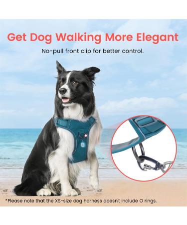 Pawaii XS Dog Harness for Small Dogs - Breathable No-Pull Chest Harness with Handle - Teal Green - Ideal for Anti-Drawing & Comfortable Fit - Buy Online on GoSupps.com