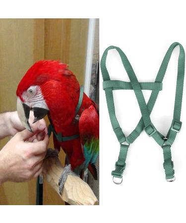 Camidy Adjustable Bird Harness and Leash Kit Macaw Cockatoos Bird Leash for Parrots Outside Training Walk for Large Bird Parrots Green L - Buy Online on GoSupps.com
