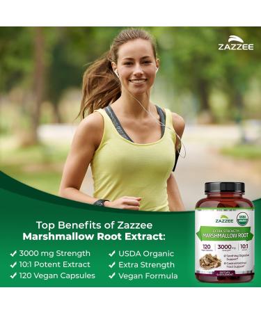 Zazzee USDA Organic Mullein Leaf Extract & Marshmallow Root Capsules | Complete Respiratory Lung Health Support Bundle | 10X Strength Marshmallow Root Plus Mullein Supplement (120 Servings Each) - Buy Online on GoSupps.com