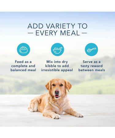 Blue Buffalo Family Favorites Sunday Chicken Wet Dog Food 12.5oz Can - Pack of 12 - Buy Online on GoSupps.com