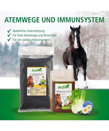 Stiefel Broncho-Plus liquid 1 l - Buy Online on GoSupps.com