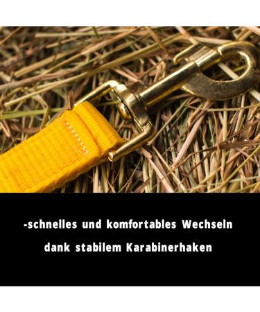 Adjustable Yellow Halter for Warmblood Thoroughbred & Cold Blood Horses | Safe Tearproof 2 Compartment Design for Stable & Pasture Use - Buy Online on GoSupps.com