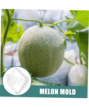 Kisangel 2pcs Fruit Shaping Mold Fruits Transparent Shaping Mold Shaper Mold Melon Mold Vegetable Small Fruit - Buy Online on GoSupps.com