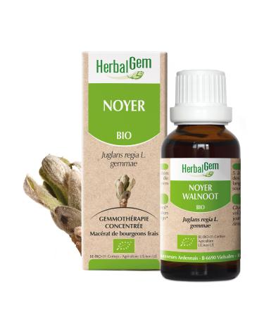 HERBALGEM - Macerate Mother - Organic Walnut - Food Supplement Gemmotherapy Concentrated - Fresh Bud Extract - For Digestion & Intestinal Flora - 30 ml